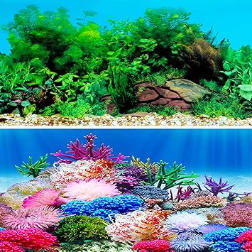 Amazon 水槽 魚タンク バックスクリーン 両面印刷 背景 水族館ポスター 水槽の飾り G 102x50cm Iriscargo バックグラウンド 背景 通販