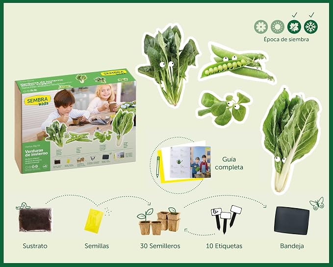 SEMBRA - juego educativo, Kit huerto Verduras de invierno: Amazon ...