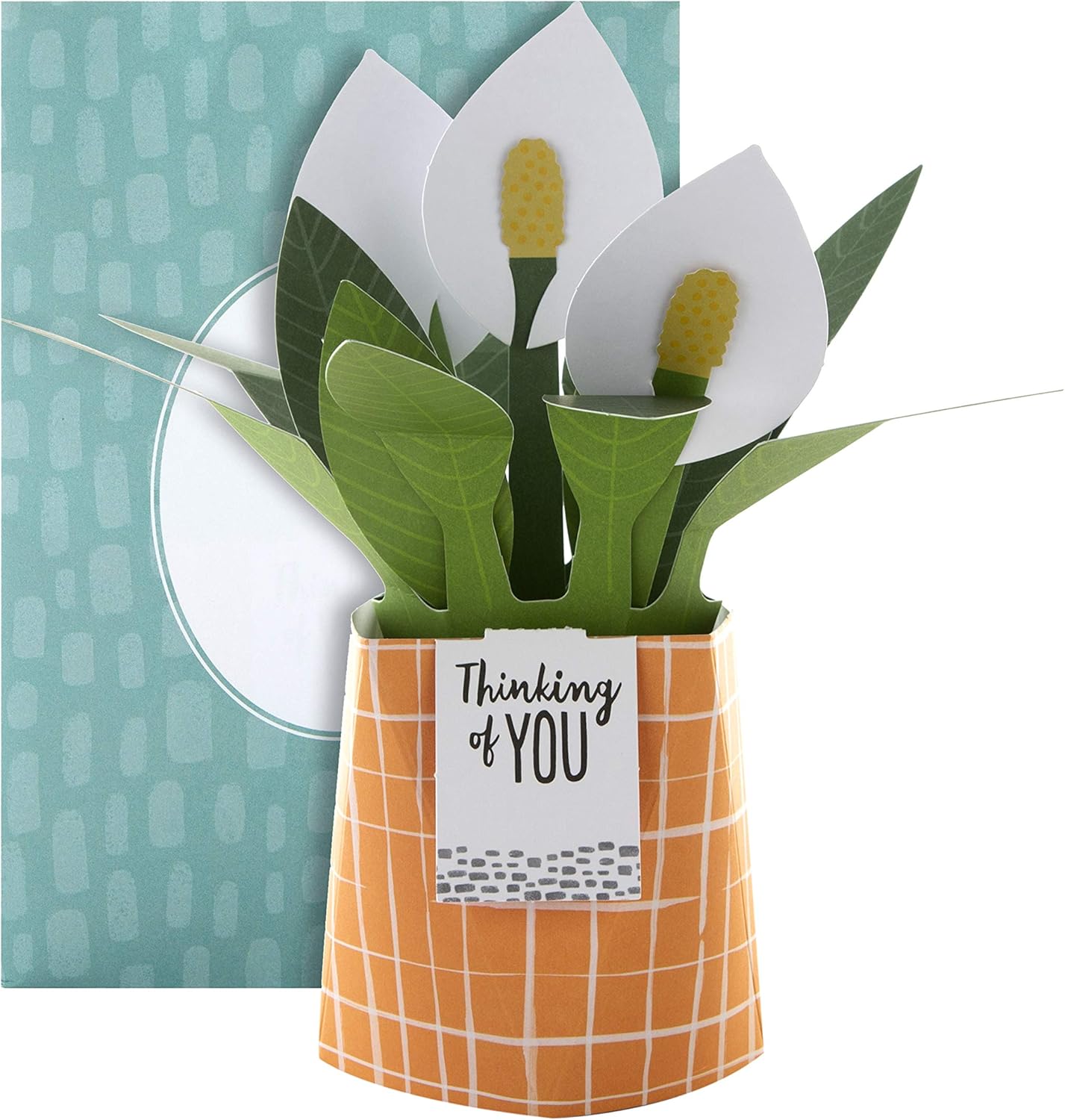 Hallmark Pop Up Card - Contemporary Peace Lily Plant Design, Thinking Of You 3D Lily