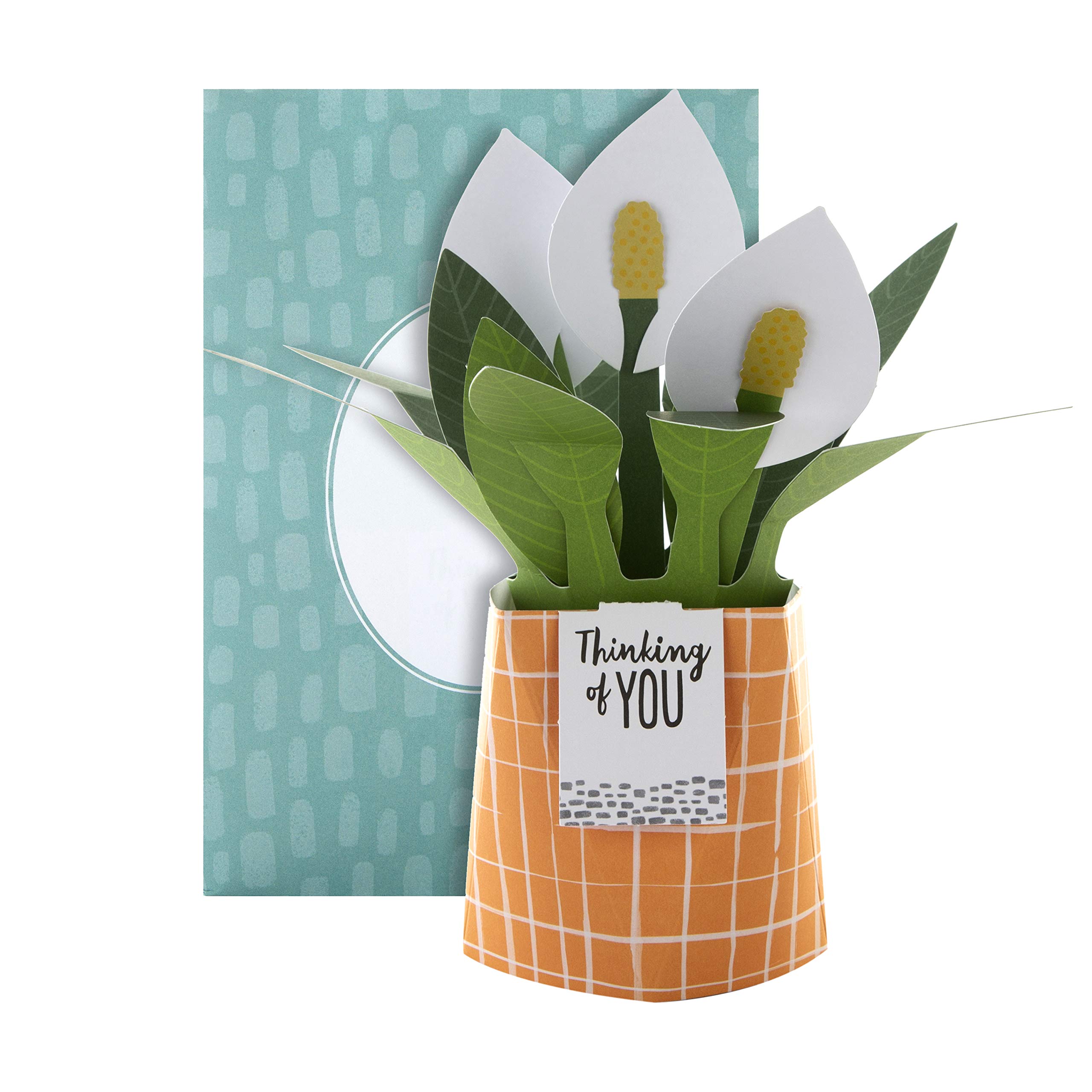 Hallmark Pop Up Card - Contemporary Peace Lily Plant Design