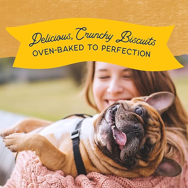 NATURAL BALANCE LIMITED INGREDIENT REWARDS CRUNCHY BISCUITS, GRAIN-FREE DOG TREATS FOR ADULT DOGS OF ALL BREEDS, DUCK RECIPE, 14 OUNCE (PACK OF 1)