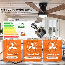 Ceiling Fans with Lights, 42 inch Low Profile