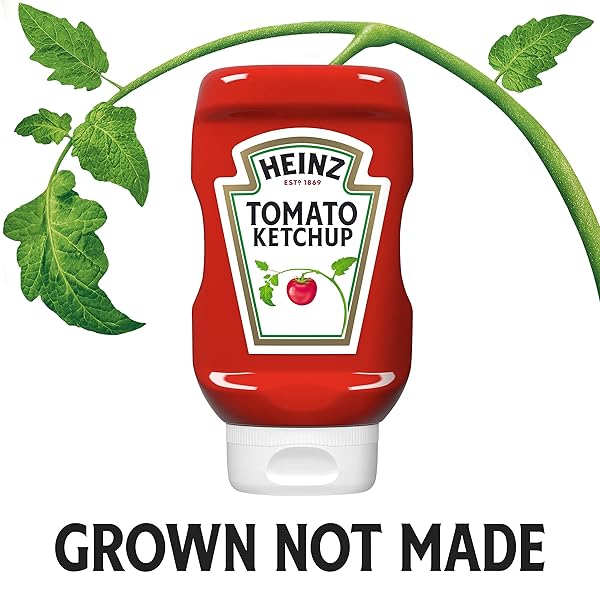 HEINZ TOMATO KETCHUP, 14 OZ BOTTLE