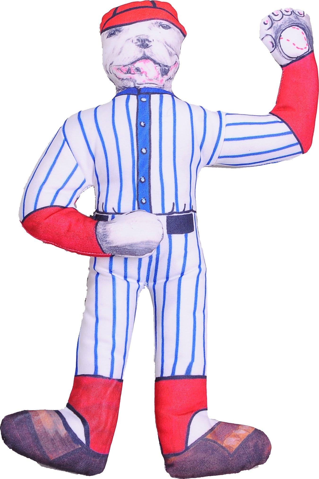 Celebrity Pet Toys "Take Me Out to The Dog Park Singing Pet Toy