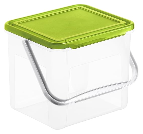 Rotho Basic Aufbewahrungsbox 4.5 l mit Deckel, Kunststoff (PP), transparent, (21 x 20 x 18 cm)