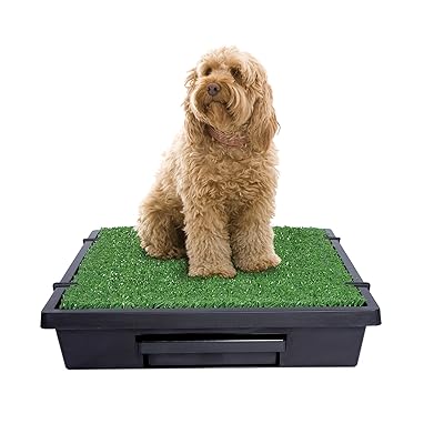 PetSafe Pet Loo Portable Indoor/Outdoor Dog Potty, Alternative to Puppy Pads, 3 Size Options for Small, Medium and Large Breeds