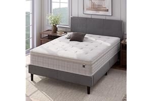 ZINUS 12 Inch Euro Top Pocket Spring Hybrid Mattress, Queen, Pressure Relief, Pocket Innersprings for Motion Isolation, Mattress in A Box