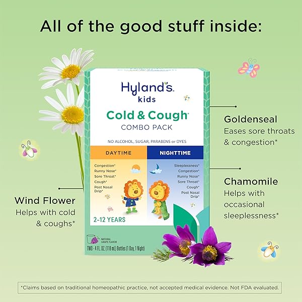 HYLAND’S KIDS COLD AND COUGH, DAY AND NIGHT COMBO PACK, COLD MEDICINE FOR AGES 2 AND UP, GRAPE FLAVOR SYRUP COUGH MEDICINE FOR KIDS, NASAL DECONGESTANT, 4 FL OZ (PACK OF 2)
