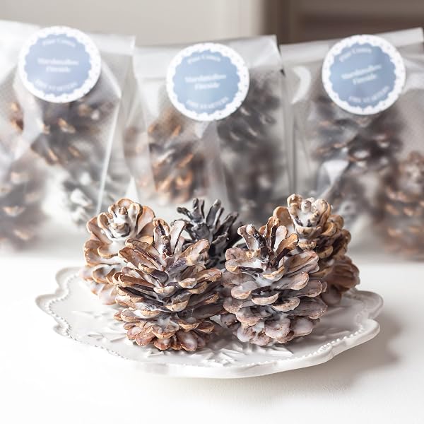 Amazon.com: Fire Starters Scented Pine Cones | Fireside Natural Fire Pit  Starters with Natural Soy Wax | Fall Home Fragrance Chestnut + Wood +  Cinnamon + Cardamom | Set of 4 Pine Cones : Handmade Products