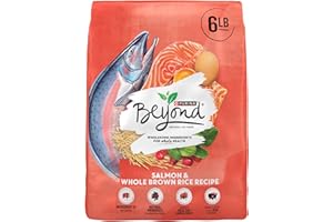 Purina Beyond Natural Wholesome Ingredients for Whole Health Dry Cat Food Salmon and Whole Brown Rice Recipe - 6 lb. Bag