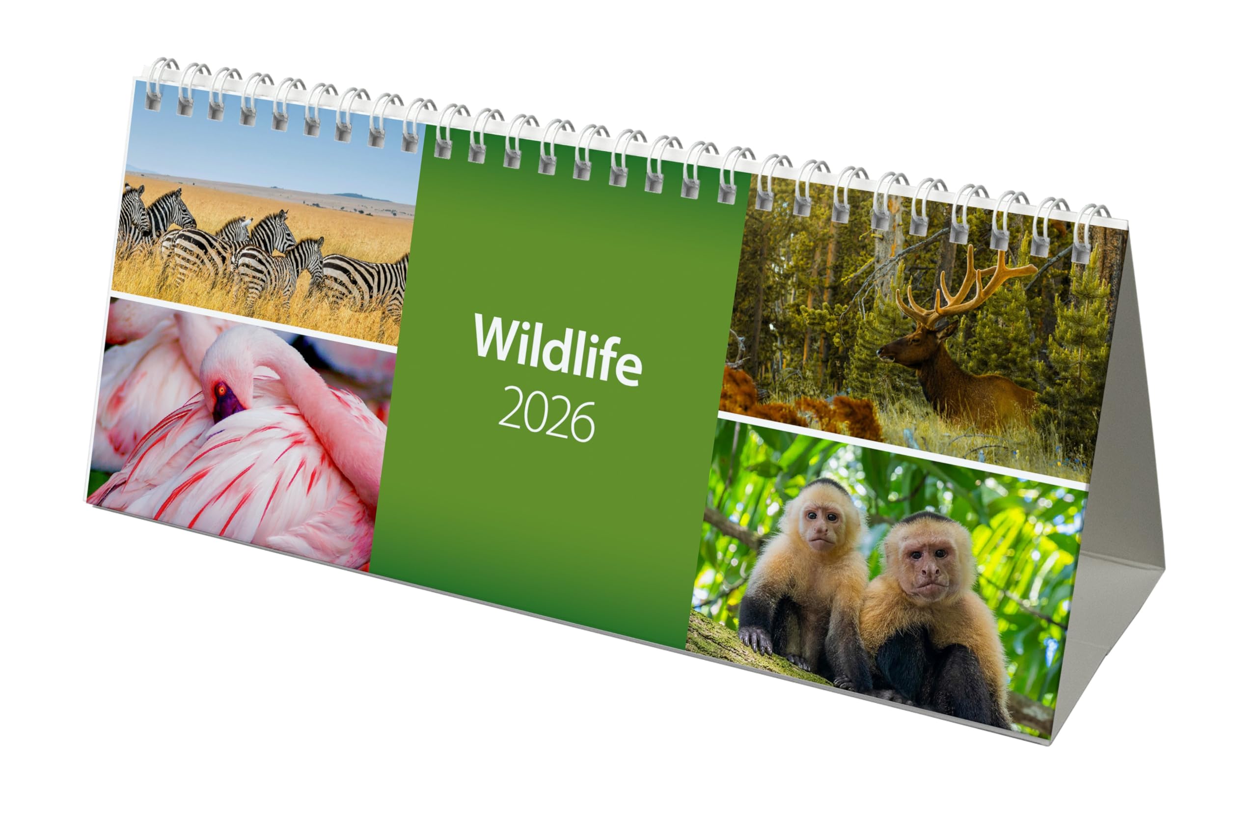 2026 World Wild Life Desk Calendar (CL08)
