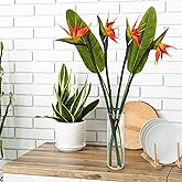Artificial Bird of Paradise Flowers Real Touch 31.5'in Long Stem Flower 4 Pcs, with Bird of Paradise Leaves 33.5'in Long Stem Greenery Plants 2 Pcs,for Home Garden Wedding Party Decor (Orange 6 Stems)