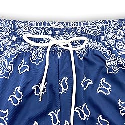 DIOTSR Mens Paisley Graphic Shorts Casual