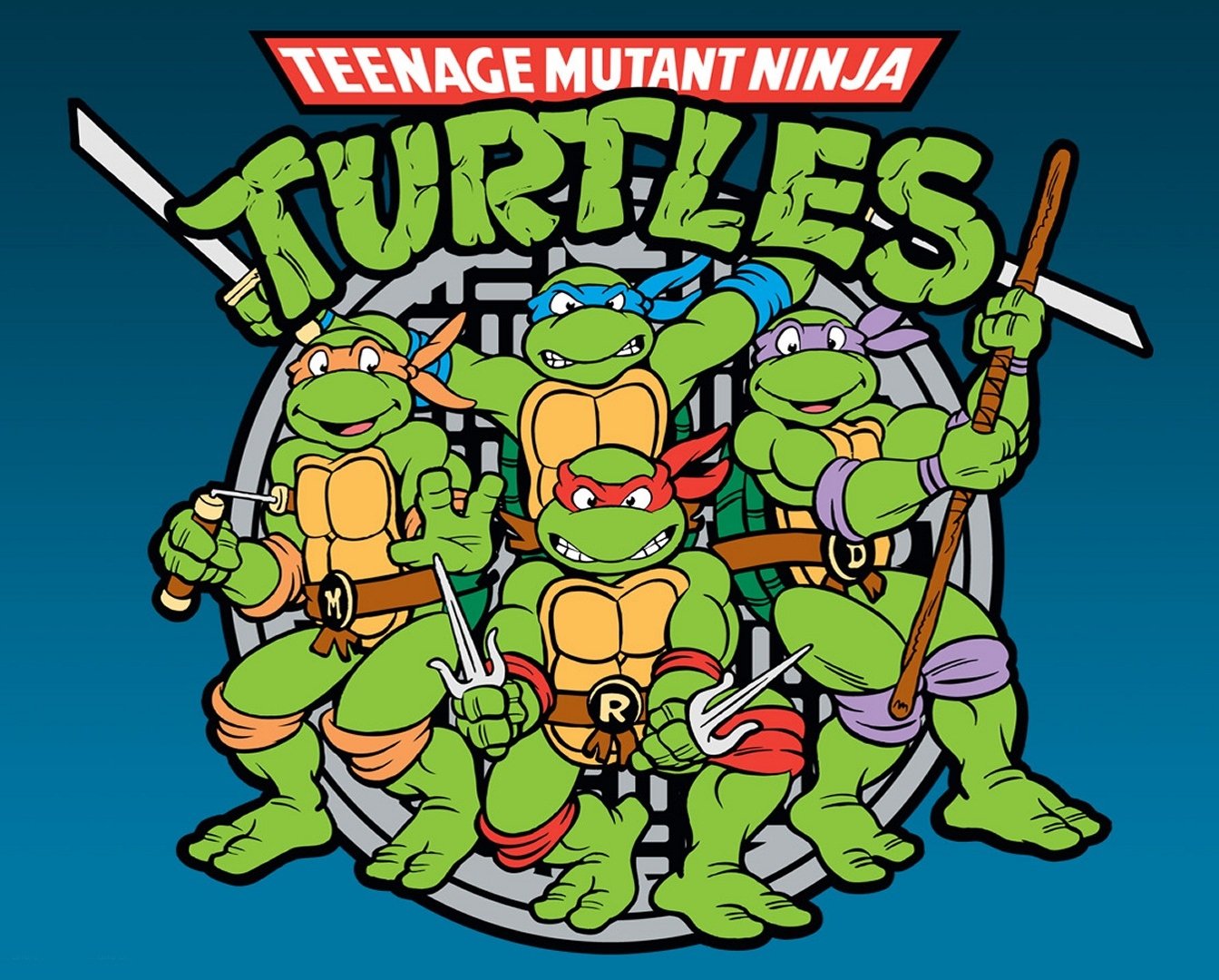 Teenage Mutant Ninja Turtles 8 x 10 GLOSSY Photo Picture