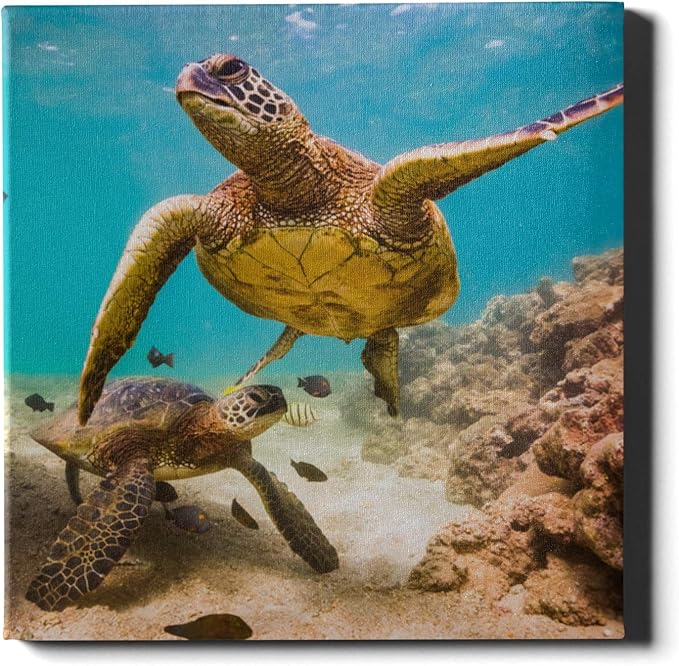 Decoración de pared de arte único Tortuga flexible en el océano azul