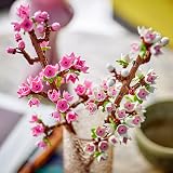 LEGO Botanicals Cherry Blossoms Toy 40725 Faux Flowers Desk Decor view 4