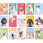 American Greetings Blank Cards and Envelopes Assortment Box, Funny Dogs, 15 count