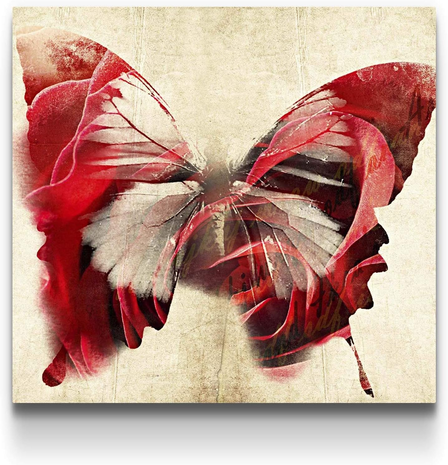 Amazon Com Startonight Canvas Wall Art Red Butterfly Butterfly Framed 32 X 32 Inches Nursery Wall Decor Posters Prints Amazon Com Startonight Canvas Wall Art Red Butterfly Butterfly Framed 32 X 32 Inches Nursery Wall Decor Posters Prints