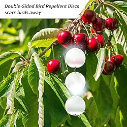 Hedoc Reflective Bird Scare Discs Set, 24PCS Large