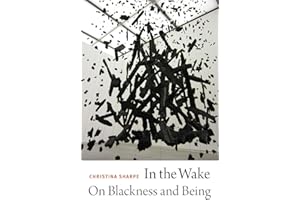 In the Wake: On Blackness and Being