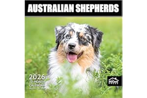 MICASA PRESS Australian Shepherds Aussies 2026 Wall Calendar 12 Month | 12" x 24" Open | Thick & Sturdy Paper | Holiday Gift | Cute Puppy Dog Calendar 2026