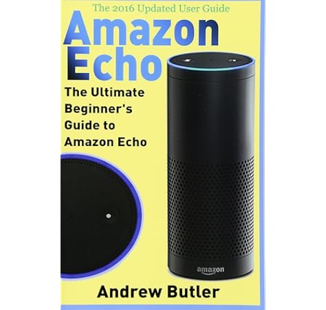 amazon echo internet