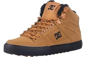 DC Shoes Mens Pure High-top Wc Wnt Skateboard, Skate Shoe
