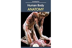 Human Body Anatomy: by Knowledge flow (Medical Sciences Series)
