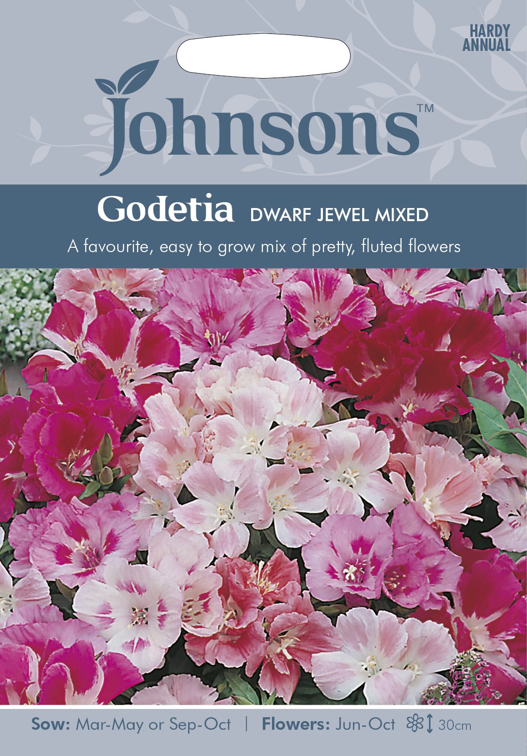 Johnson's 10217 Flower Seeds, GODETIA Dwarf Jewel Mixed