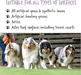 BUGALUGS Artificial Grass Cleaner 1L Lavender Dog Safe Pet Disinfectant view 2
