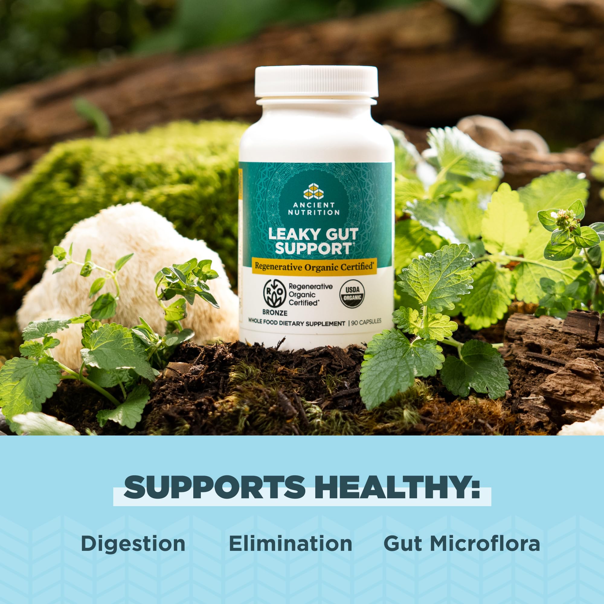 Mua Ancient Nutrition Gut Health Supplement, Regenerative Organic ...