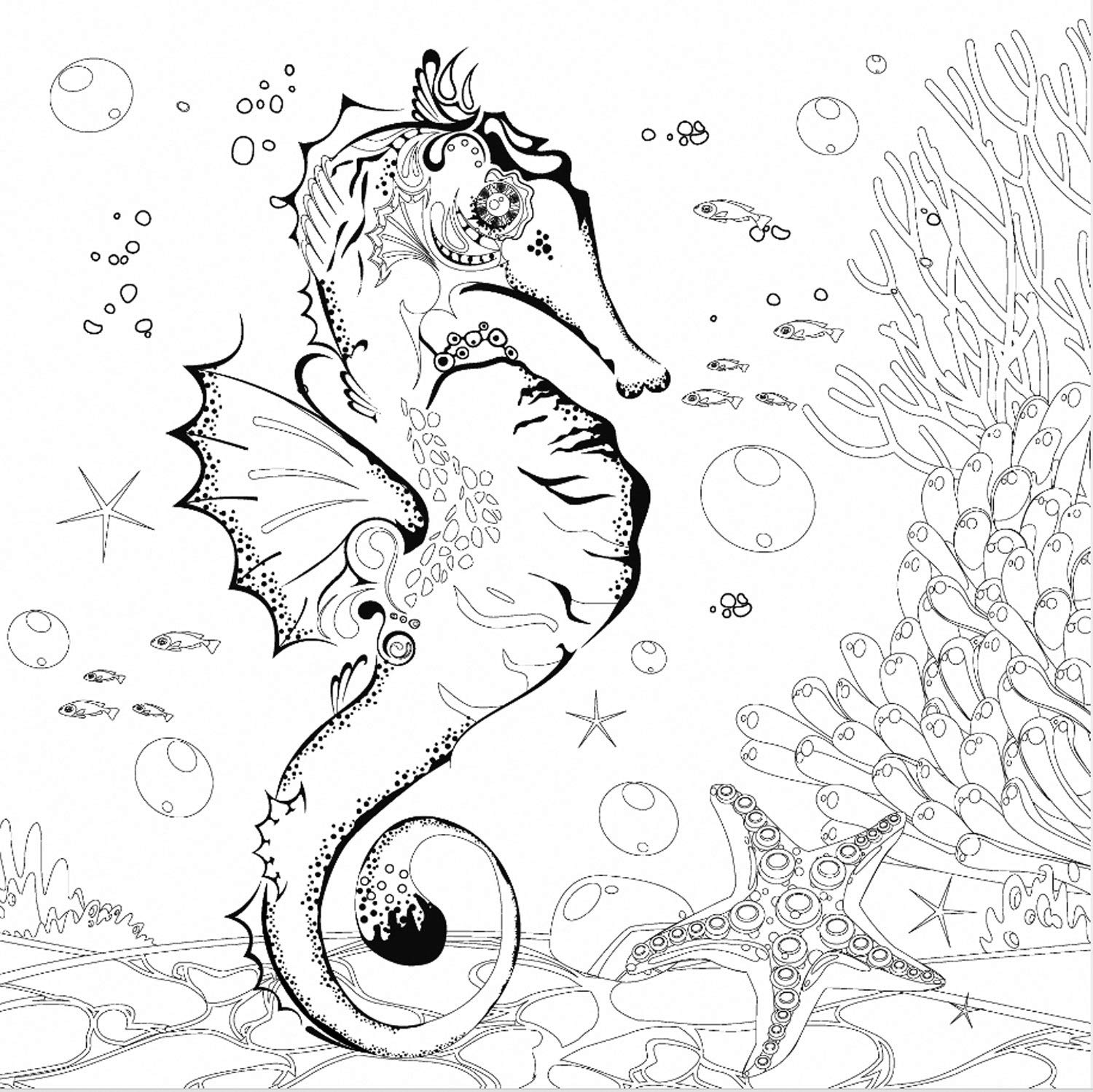 Honsell 12127 Stretcher Frame with Seahorse Motif, Size 30 x 30 cm, Pre-Printed Design for Colouring with Acrylic, Watercolour and Oil Paints and Felt Pens