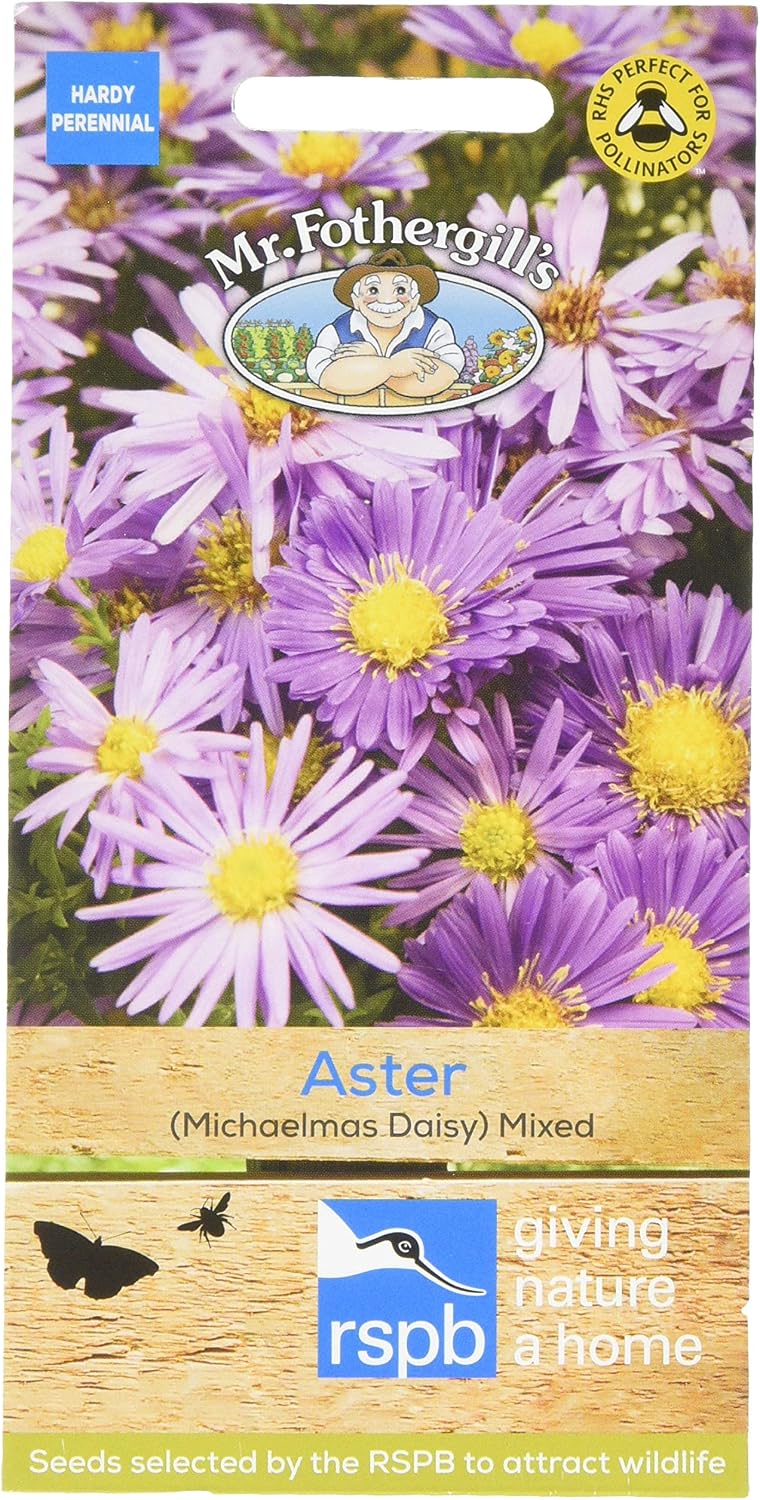 Mr Fothergill's 13280 Flower Seeds, Aster (Michaelmas Daisy) Mixed