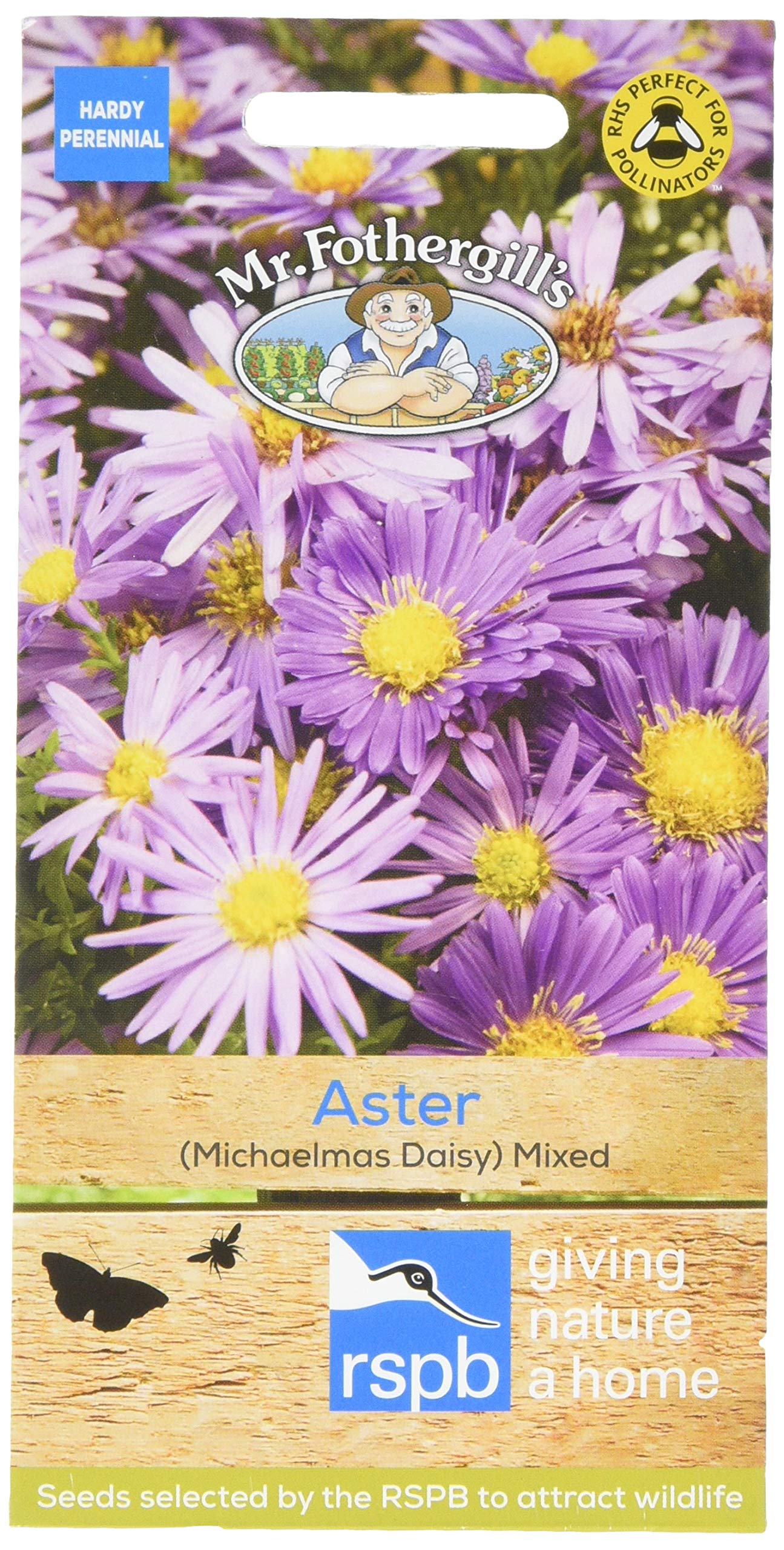 Mr Fothergill's 13280 Flower Seeds, Aster (Michaelmas Daisy) Mixed