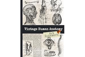 Vintage Human Anatomy Art Ephemera: Antique Medical Book Drawings of Organs, Bones & Muscles, One-Sided Decorative Paper for Junk Journaling, ... (45+ Vintage Images To Cut Out and Collage)