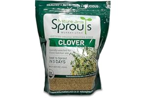 NATURE JIMS SPROUTS Nature Jims Sprout/Sprouting Seeds, Clover – Organic Non-GMO Premium Resealable Bag for Longer Freshness Rich in Vitamins, Minerals, Fiber, 16 oz