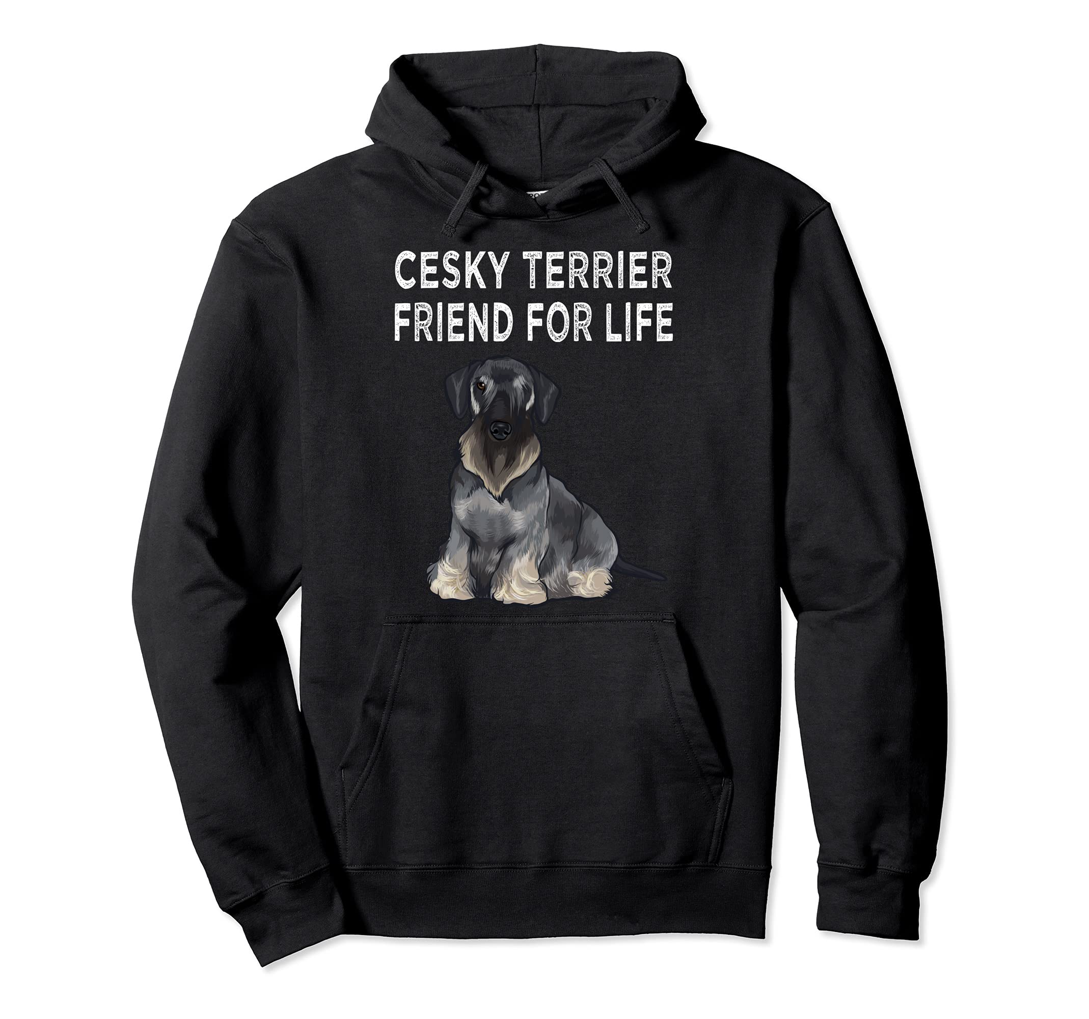 Cesky Terrier Friend For Life Dog Friendship Pullover Hoodie
