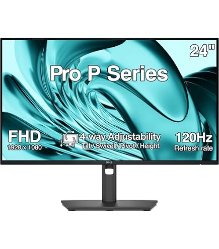 Amazon.com: Dell 24