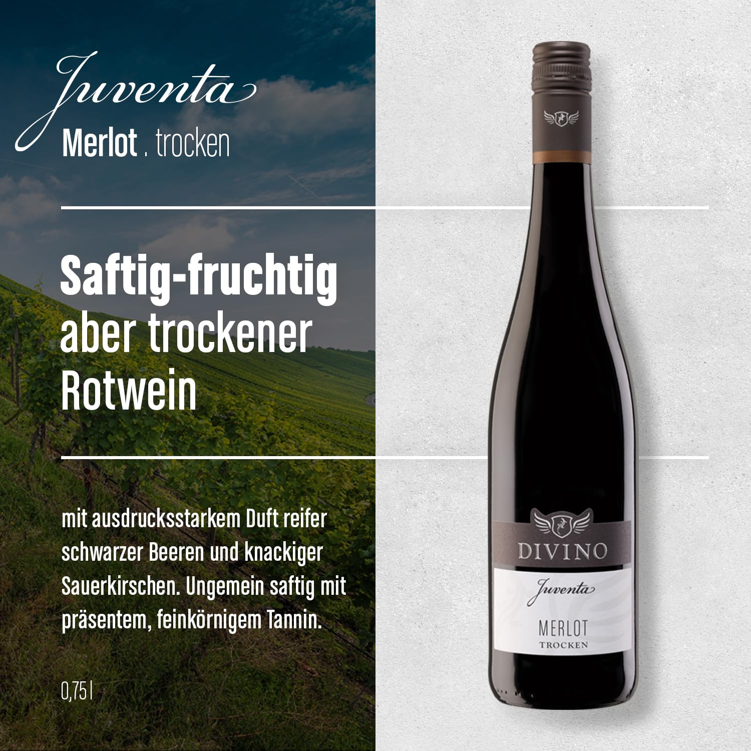 DIVINO Juventa Frankenwein Probierpaket - Silvaner, Grauer Burgunder, Scheurebe, Rotling, Merlot, Cuvée - Qualitätsweine direkt aus den Weinbergen Frankens (6 x 0,75l) 6