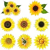 Frienda 8 Pcs Sunflower Car Decals, Car Decal, Adhesive Sunflower Stickers for Cars, Window, Laptop, Classroom, Bedroom Wall Decoration, 4"