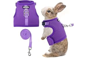 AIITLE Adjustable Rabbit and Leash Set - Lightweight & Portable, Padded Vest with Magic Tape Design, Indoor/Outdoor Use (Training, Hiking) - Fits Hamsters, Rats, Iguanas, Puppies, Cats, Purple M