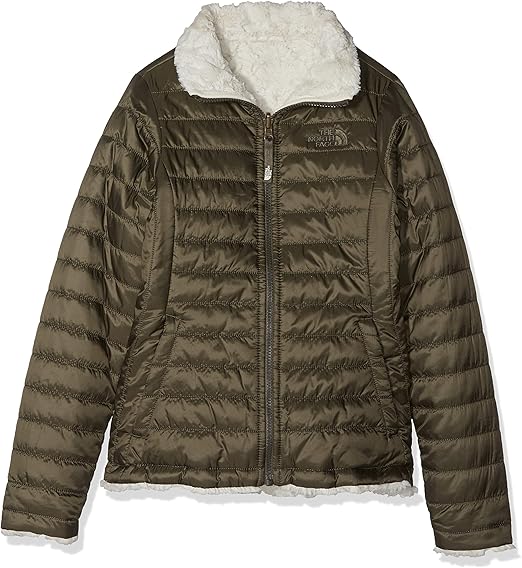 north face new taupe green