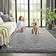 Kimicole Grey Area Rug for Bedroom Living Room Carpet Home Decor, Upgraded 4x5.9 Cute Fluffy Shag Nursery Rug for for Baby Room Decorations, Apartment Dorm Room Essentials for Teen Girls Kids