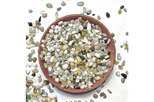 WHANLEY L&Q Jade Rocks for Plants Indoor, 1/5 inch Small Pebbles for Indoor Plants, Decorative Rocks for Succulents Cactus Bamboo Vases Landscaping Drainage and Outdoor Garden 1 LB