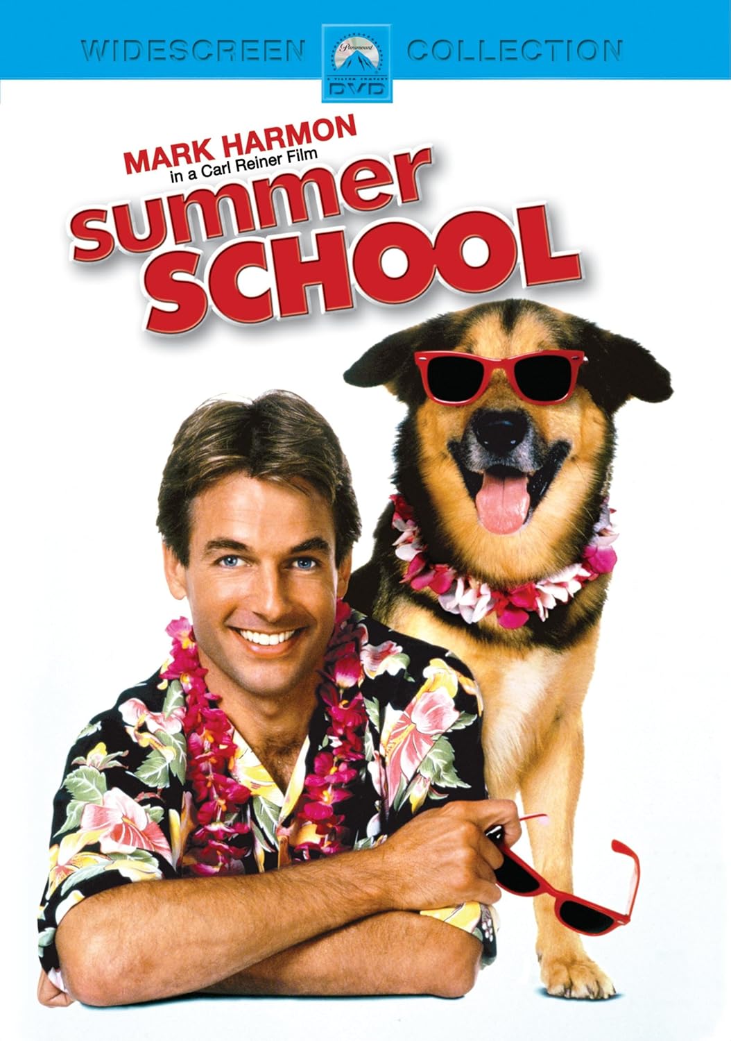 Summer School [DVD] [Region 1] [US Import] [NTSC] Amazon.co.uk Harmon