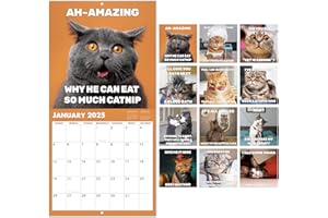 SIMANNIE 2025 Calendar - 2025 Wall Calendar, Jan.2025 - Dec.2025, 12" x 24" (Open), 12 Monthly Wall Calendar Gift, Wall Calendar 2025 with Unruled Blocks,Hanging Hole - Blue Cat