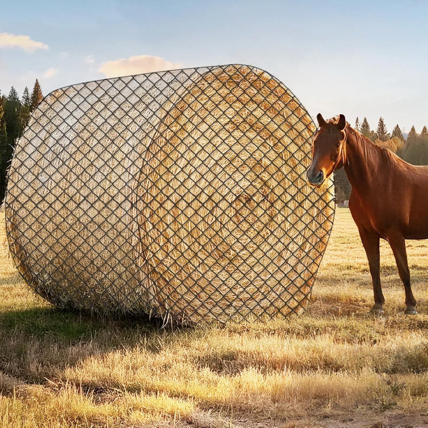 Photo 1 of GmTonty Large Round Bale Hay Net for Horses, 5x5 ft Hay Nets for Horses Slow Feed Knotless, Slow Feeder Hay nets for Horses, Fits Round Bales 4x4ft and 5x5ft, Square Bales 3x3x8ft and 4x4x8ft