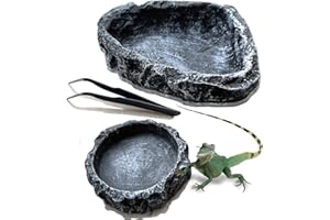 ACCELEAH Reptile Feeding Dish Water Bowls 2 Pack Food Dish Water Dish Reptile Dish with Breadworm Feeding for Dragon Leopard Gecko Lizard Spider Scorpion Chameleon ((Round + Corner) Bowl+Tongs)
