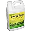 Southern Ag Chelated Liquid Iron, 128oz - 1 Gallon