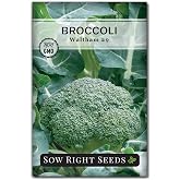 Sow Right Seeds - Waltham 29 Broccoli Seed for Planting Vegetable Garden | Plant cold hardy non-GMO heirloom variety for outdoor home gardening. Green veggies for growing outside in spring or fall.